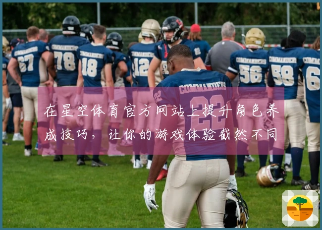 在星空体育官方网站上提升角色养成技巧，让你的游戏体验截然不同