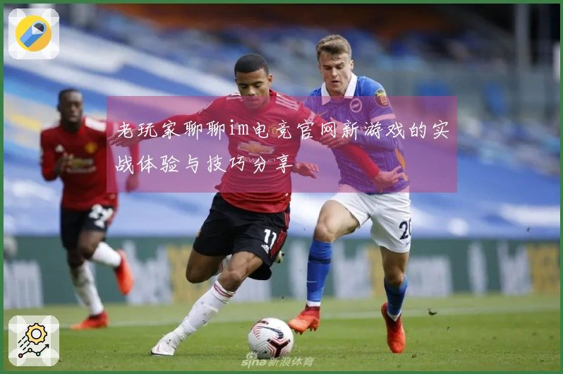 老玩家聊聊im电竞官网新游戏的实战体验与技巧分享